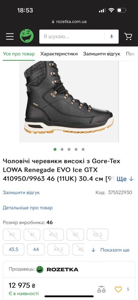 Чоловічі черевики високі з Gore-Tex LOWA Renegade EVO Ice GTX