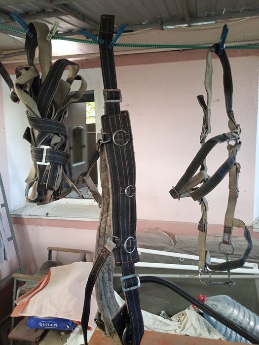 Продам наритники і уздечка для коней