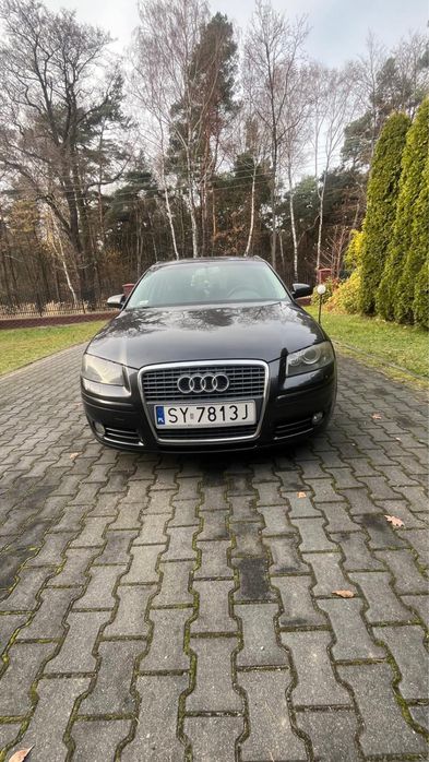 Audi A3 8p 2.0 Tdi 170 km