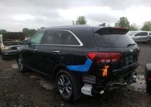 Двері Kia Sorento III,  Soul III Sportage IV Optima
