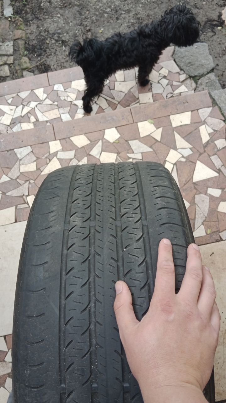Continental ProContact rx 235/40 r19 96w шини