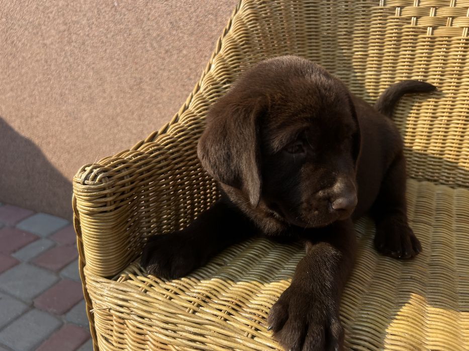 Найкращий хлопець