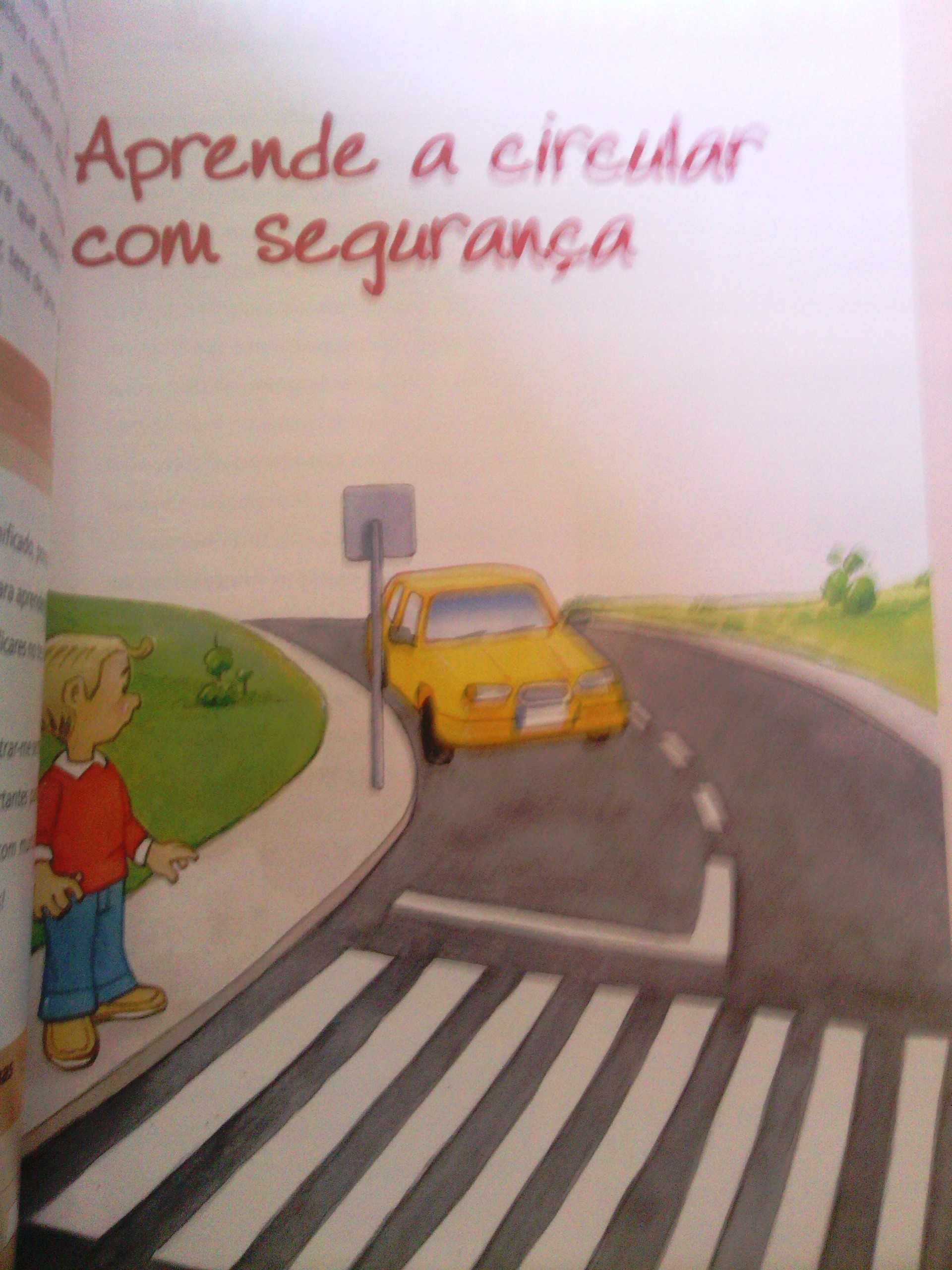 livro escolar 4º ano Estudo do Meio 2º Ciclo fundamentos de Matemática