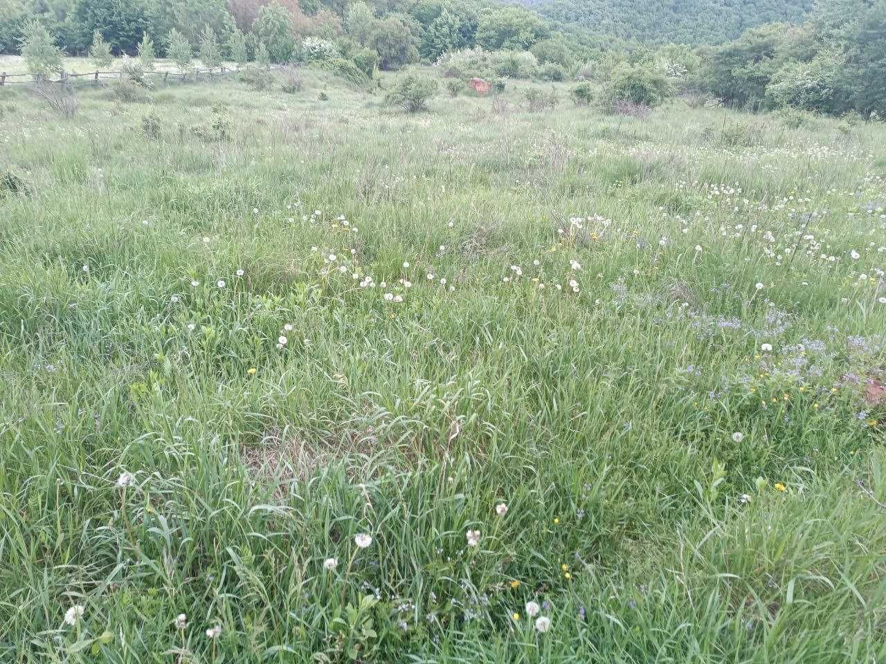 Земельна ділянка