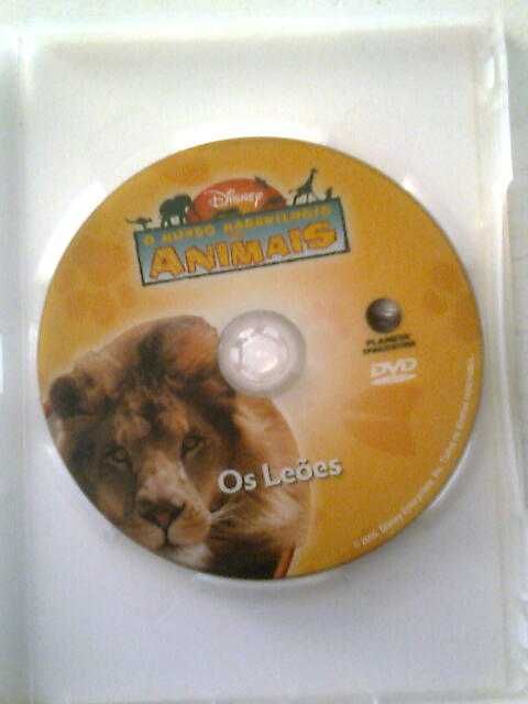 DVD O mundo dos animais Leões
