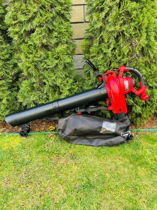 Садовий пилосос Воздуходувка Einhell GC-EL 3000 E