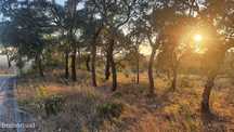 Terreno para Moradia com vista para a Serra D'Aire e Candeeiros