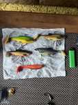 Zestaw gum na szczupaka , savage gear roach paddle + westin ricky the