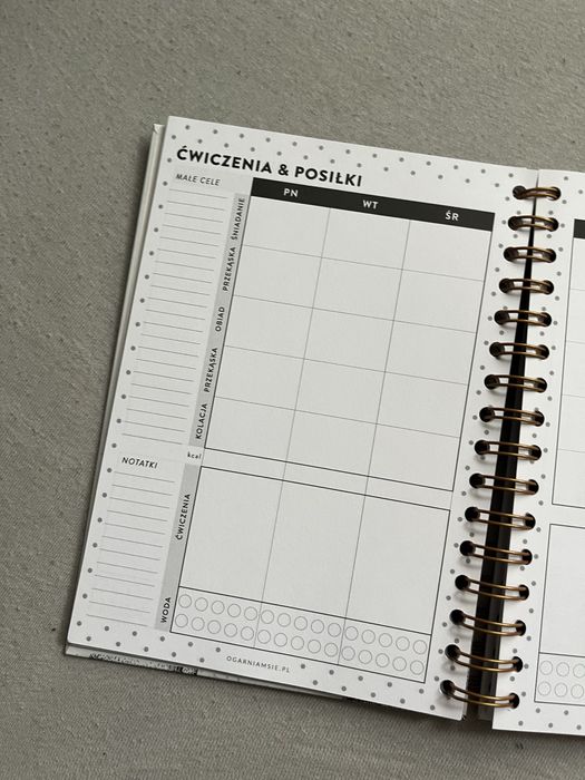 Nowy fitness planner Ogarniam się
