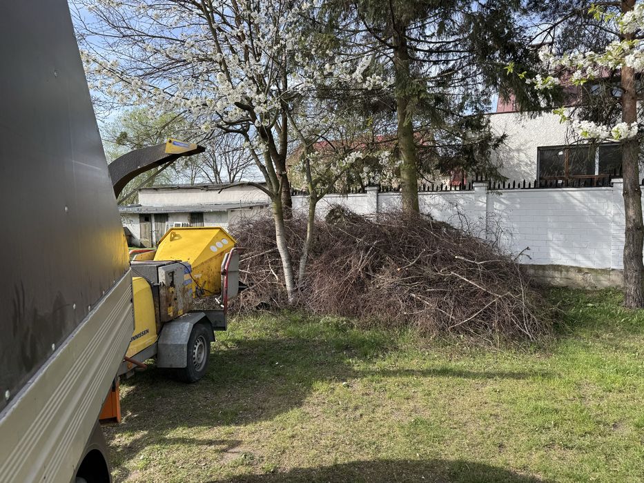 Usługi Rębakiem/Mielenie Gałęzi/Zrębkowanie/Rozdrabnianie - Stegna