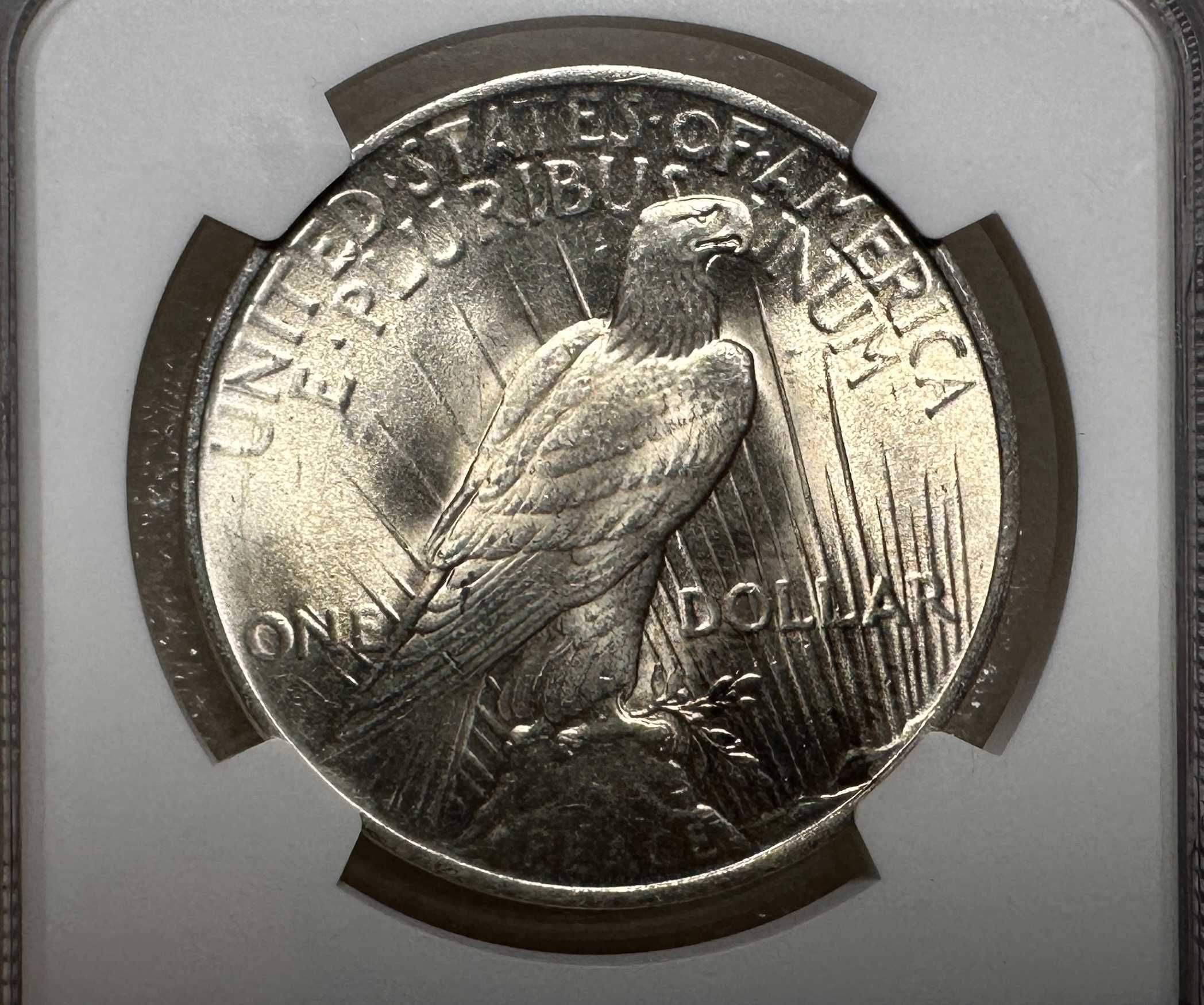 Долар Мирний 1923 слаб NGC MS-64 Америка США