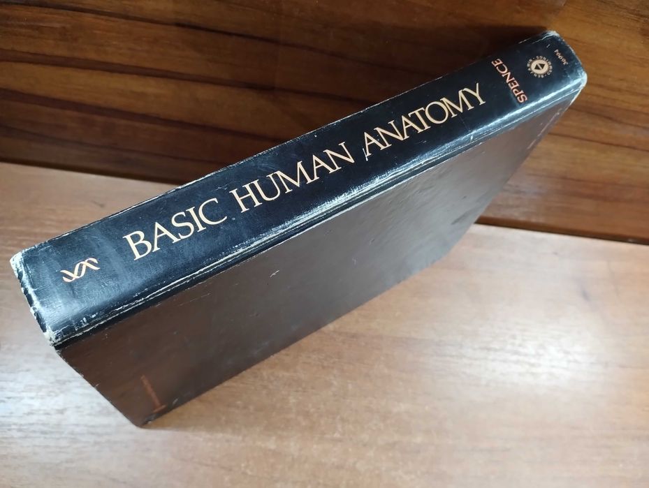 Basic Human Anatomy Alexander Spence Анатомия для художников