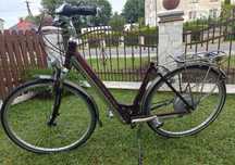 Koga Miyata tesla-s elektryk