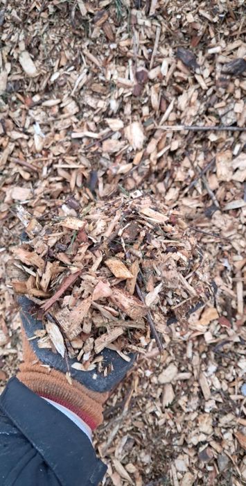 Podłoże do Borówki Zrebka kora Trocina torf igliwie transport Borowka