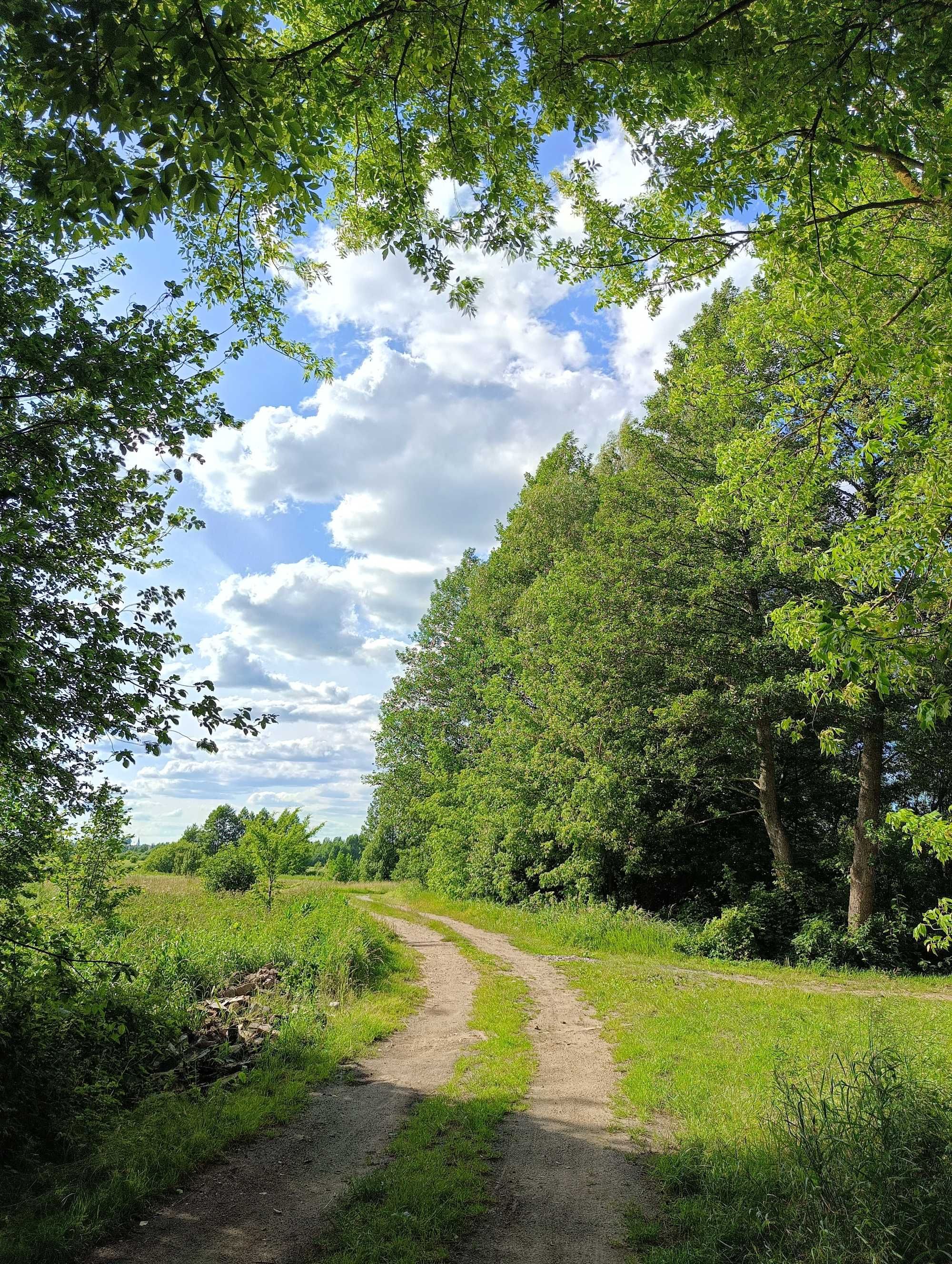 Domek do wynajęcia