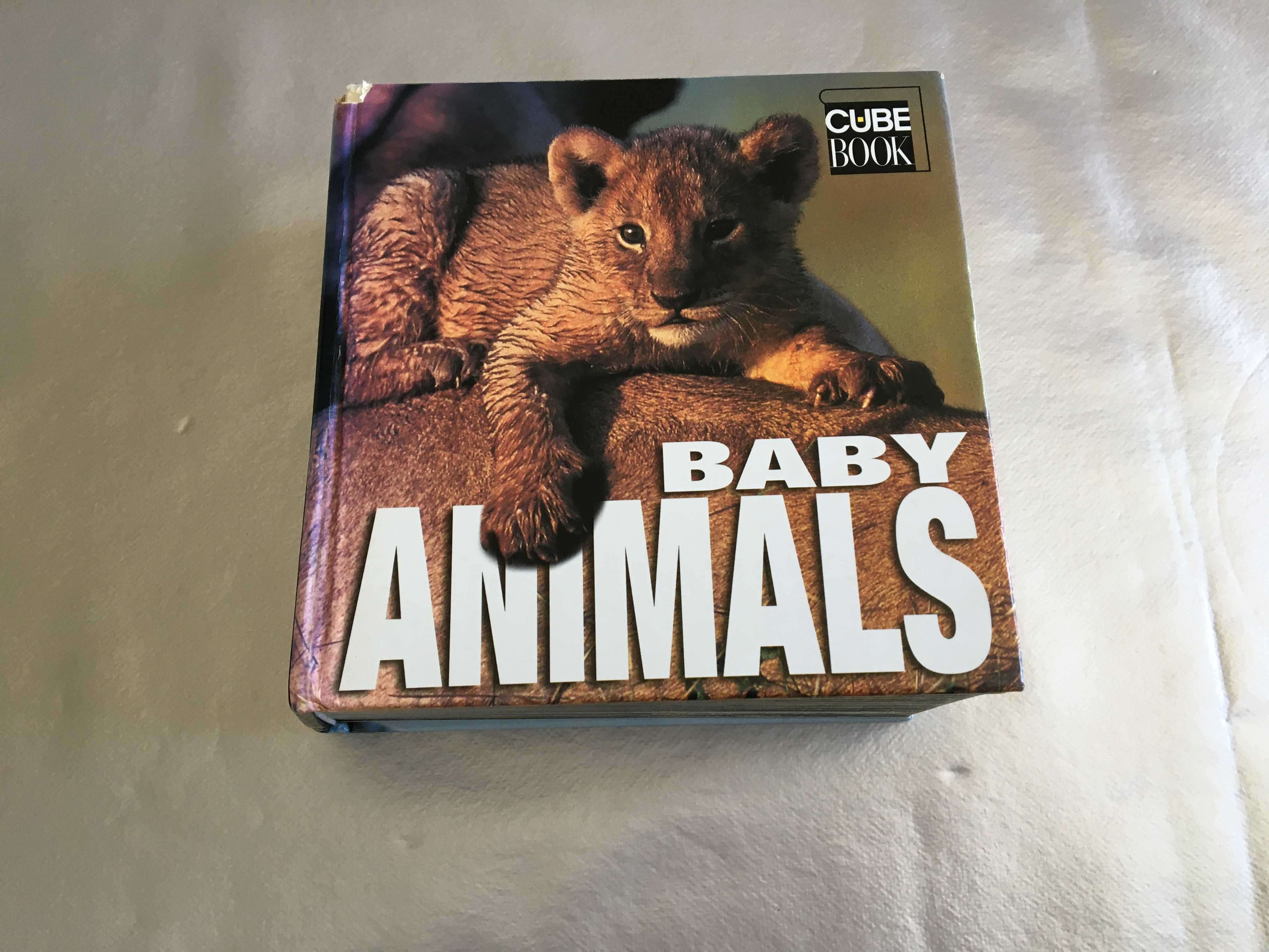 Livros infantis Disney Barbie Bambi fábulas