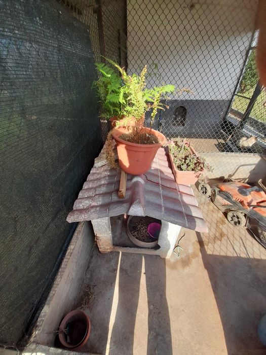 Casota cão em cimento