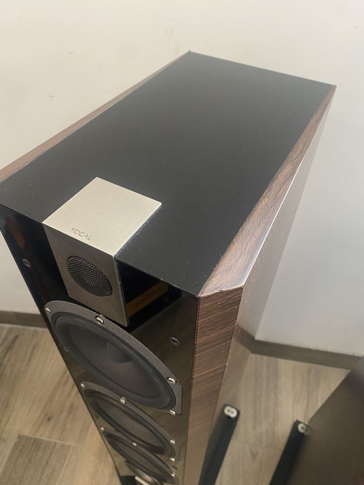 Focal chorus 826v noyer