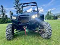 Polaris RZR 900