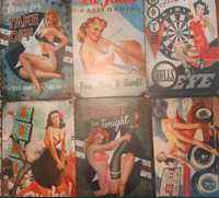 Kobiety Pin up lata 60 obrazek metalowy kolekcja wystawa prezent