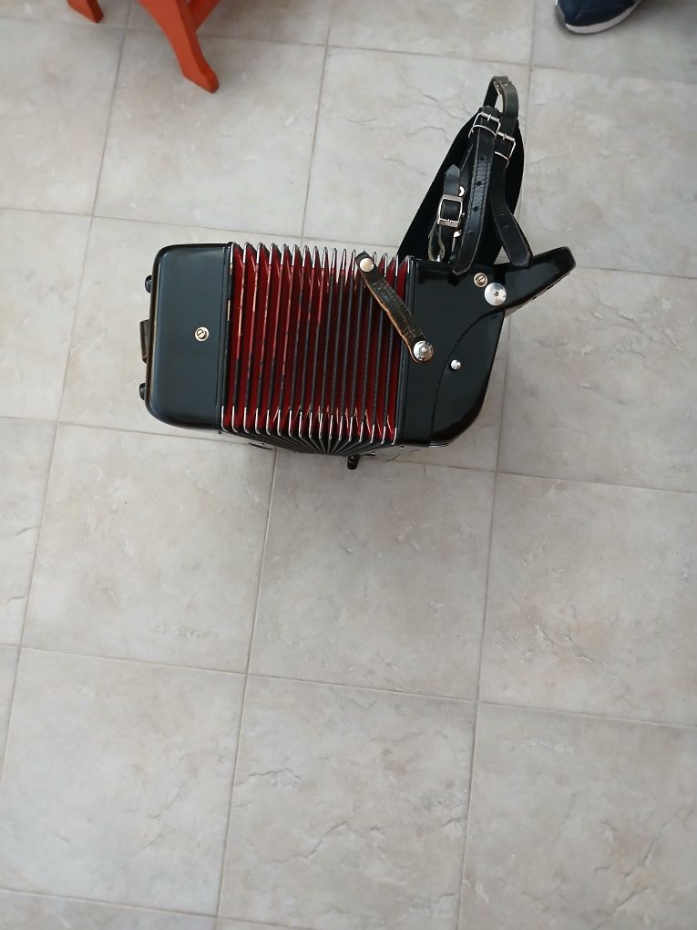 Acordeon bom estado