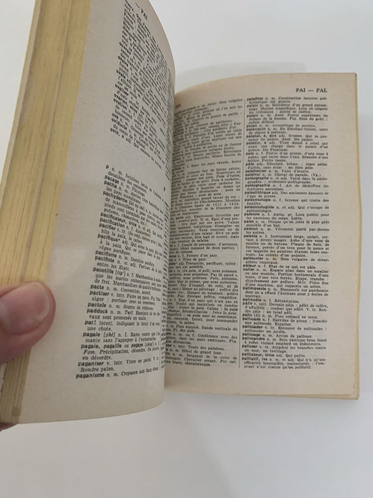 Dicionario larousse de poche e manual Pirouettes