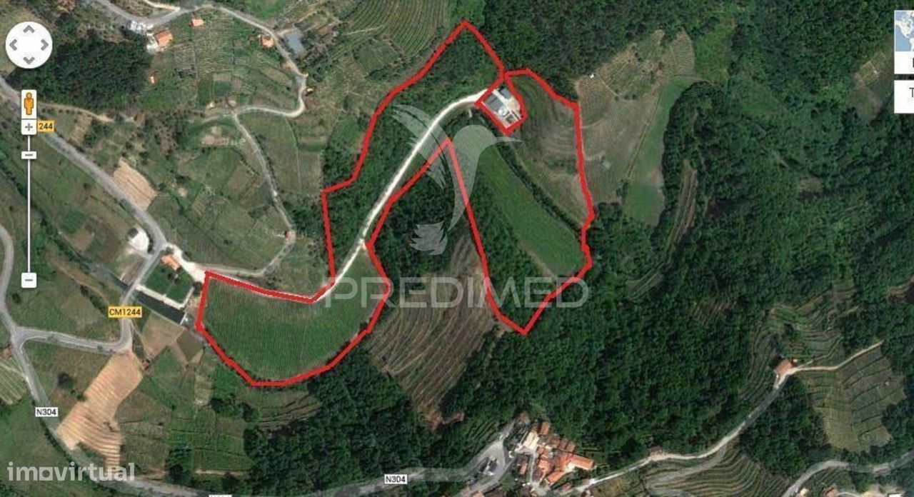 Quinta c/ vinha em produção em Santa Marta de Penaguião