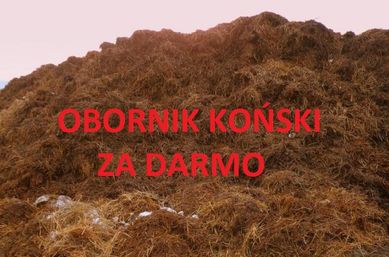 Obornik koński oddam za darmo !