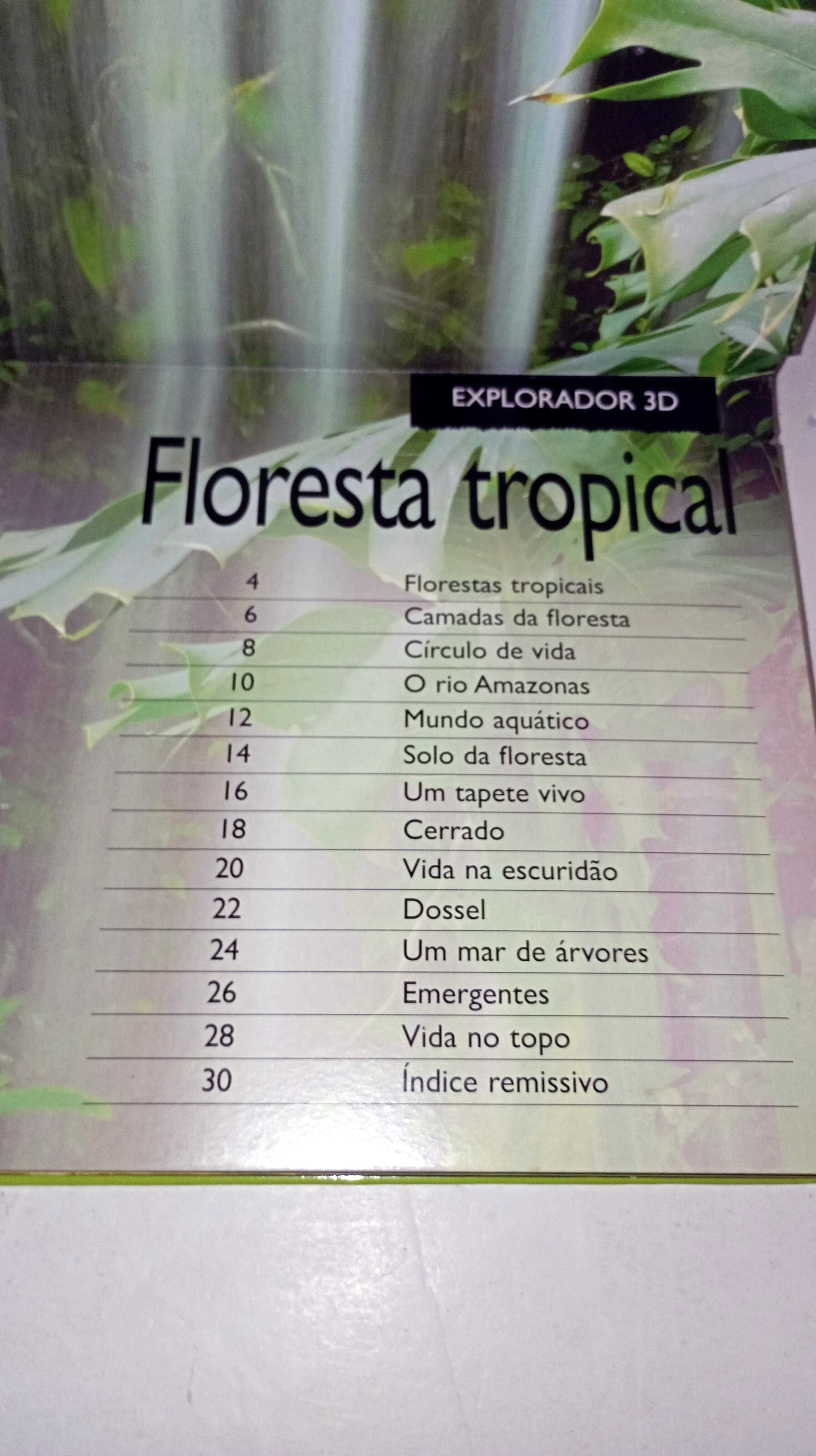 Floresta Tropical - Uma viagem do rio às copas das árvores -3D