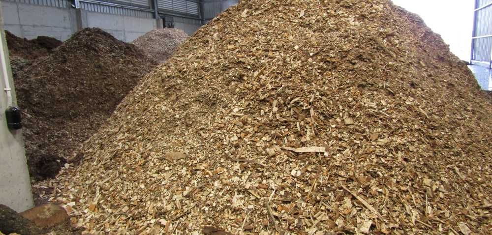 Skup zrębki trociny zrębka biomasy odpadów drzewnych gałęzi