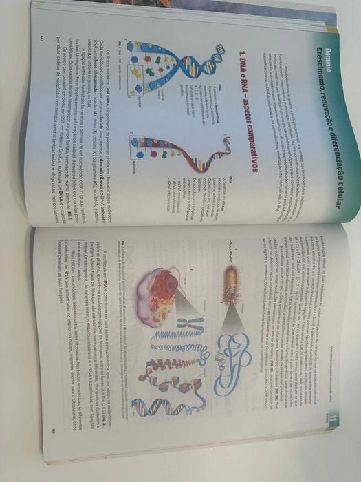 Livro Preparação Exame Final Biologia e Geologia 11º