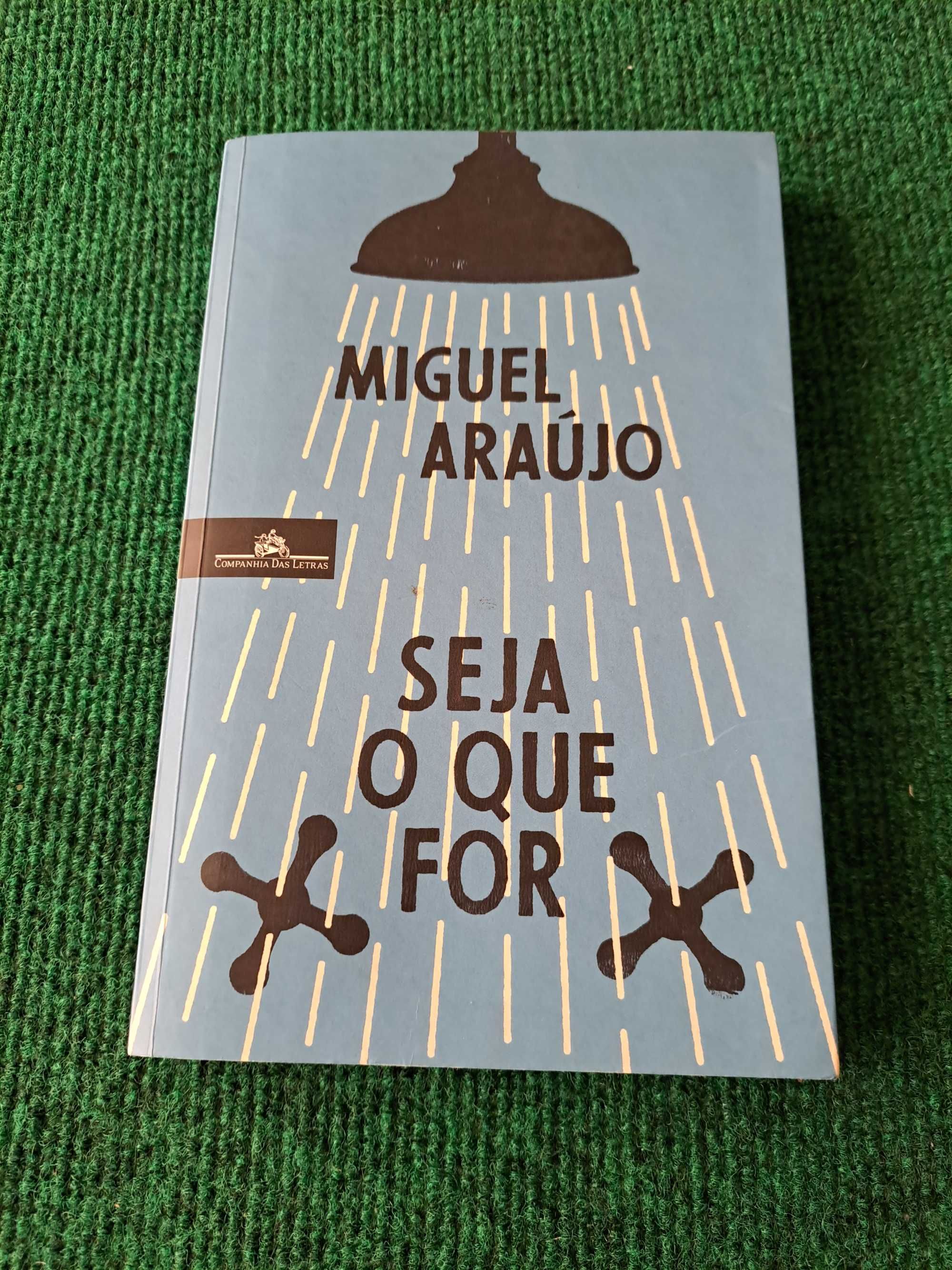Seja o que for - Miguel Araújo