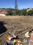 Limpeza terreno e corte arvores