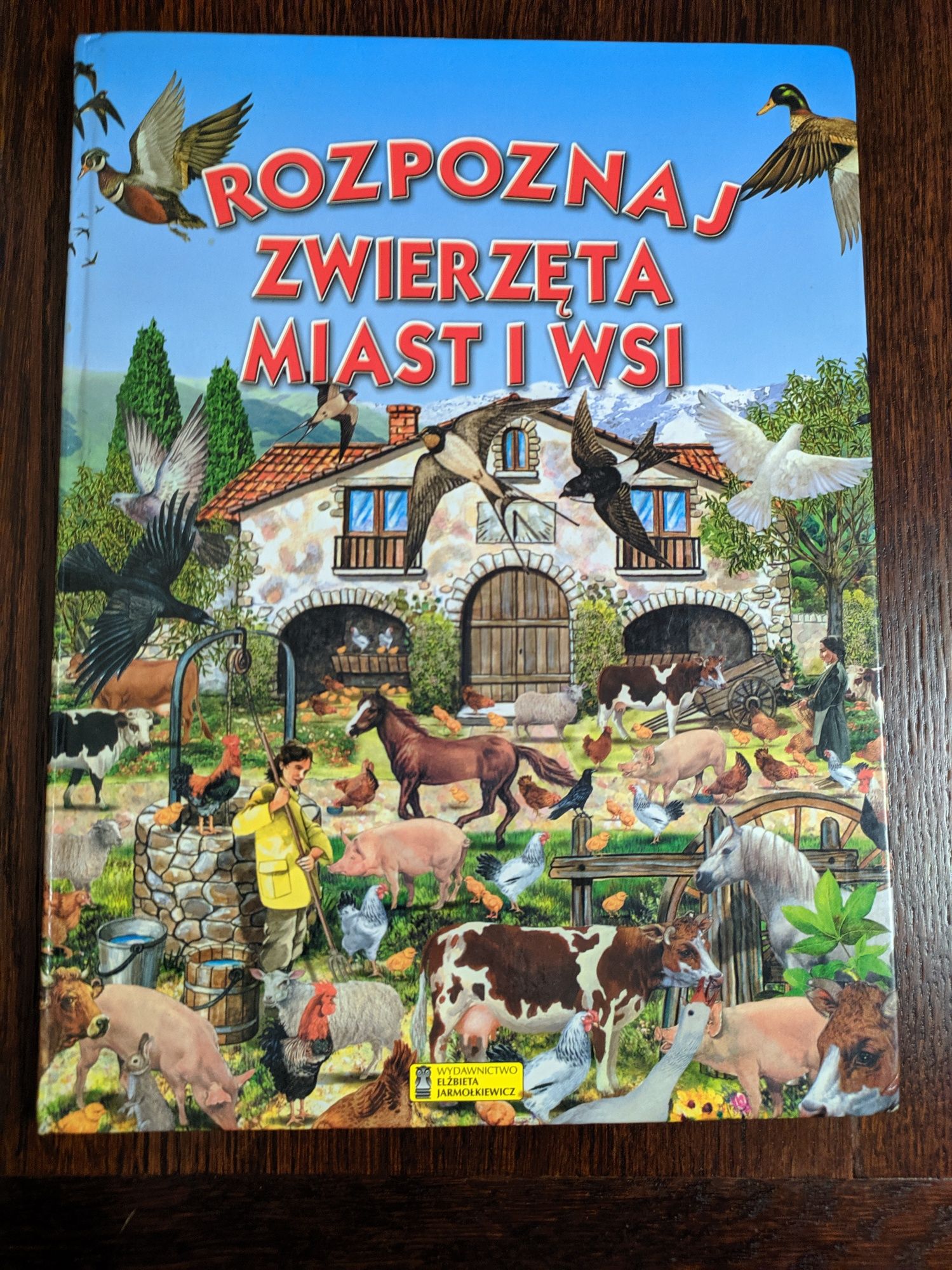 Rozpoznaj zwierzęta miast i wsi Stańczewska