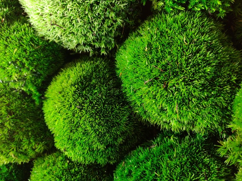 Panel mech poduszkowy NA WYMIAR