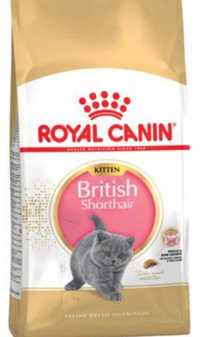 10*400g Royal Canin British Shorthair Kitten 4kg