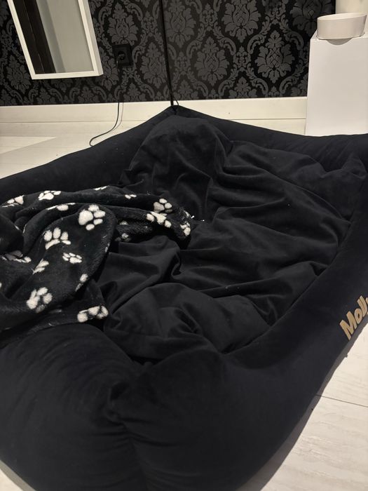 CANLUSSO legowisko dla psa