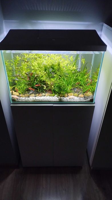 Akwarium 80l i szafka