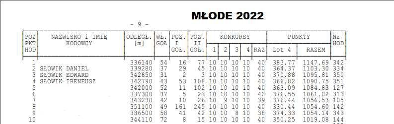 Gołębie młode 2024 do lotu z bardzo dobrej hodowli pocztowe