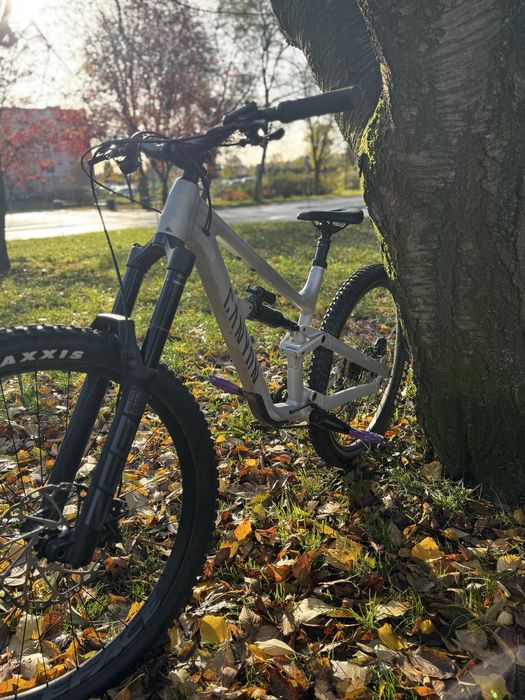 Canyon torque al5 2023