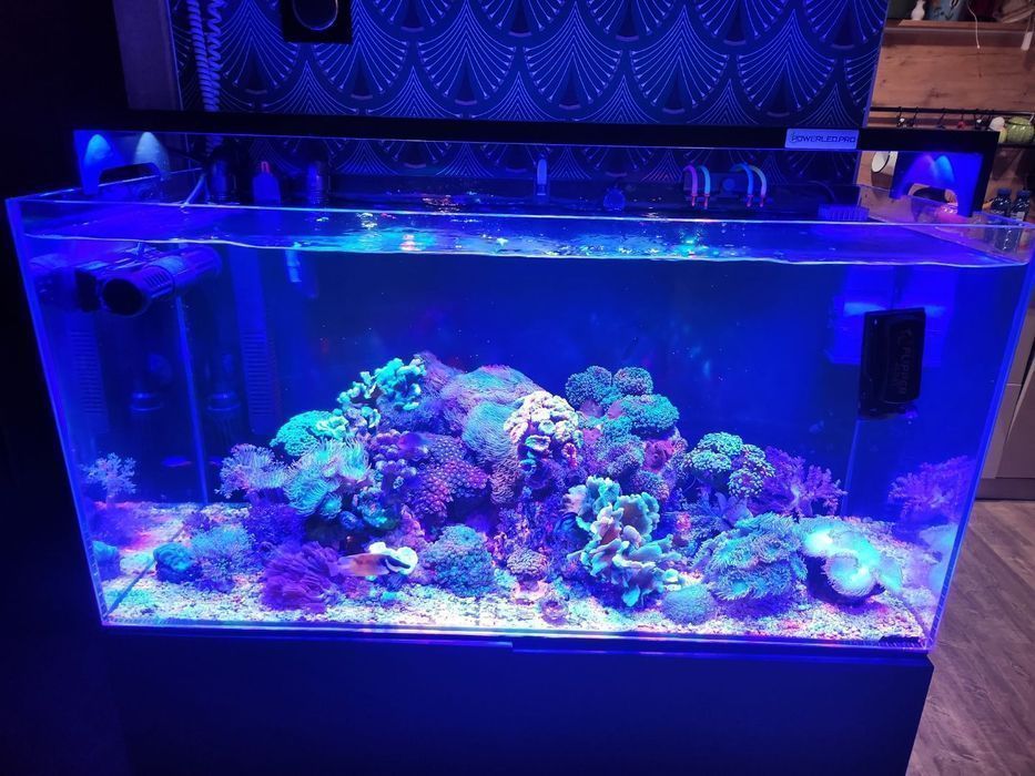 Lampa do akwarium morskiego z chłodzeniem aktywnym - 100 cm - 200 Wat