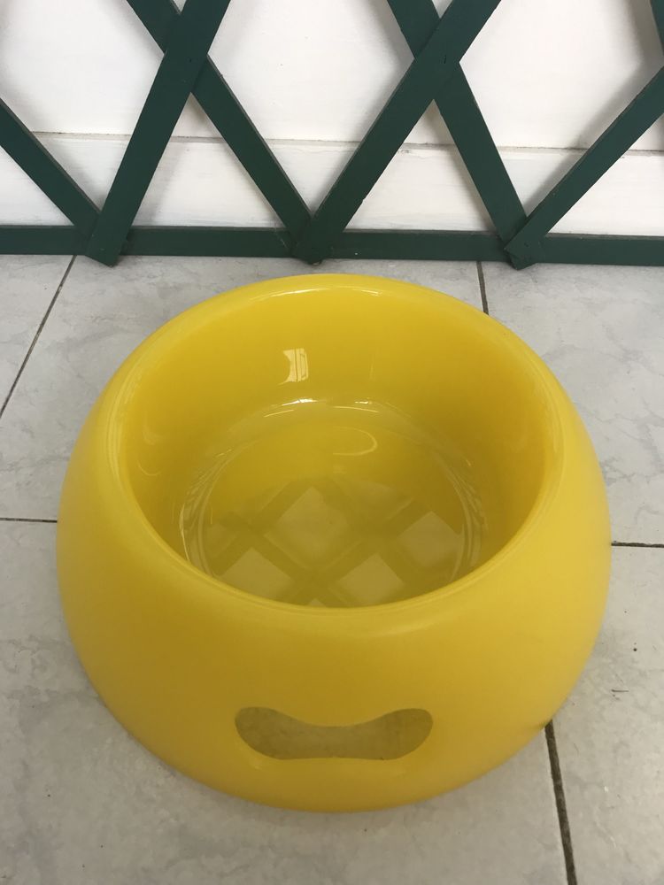 Comedouro/ Bebedouro para cão