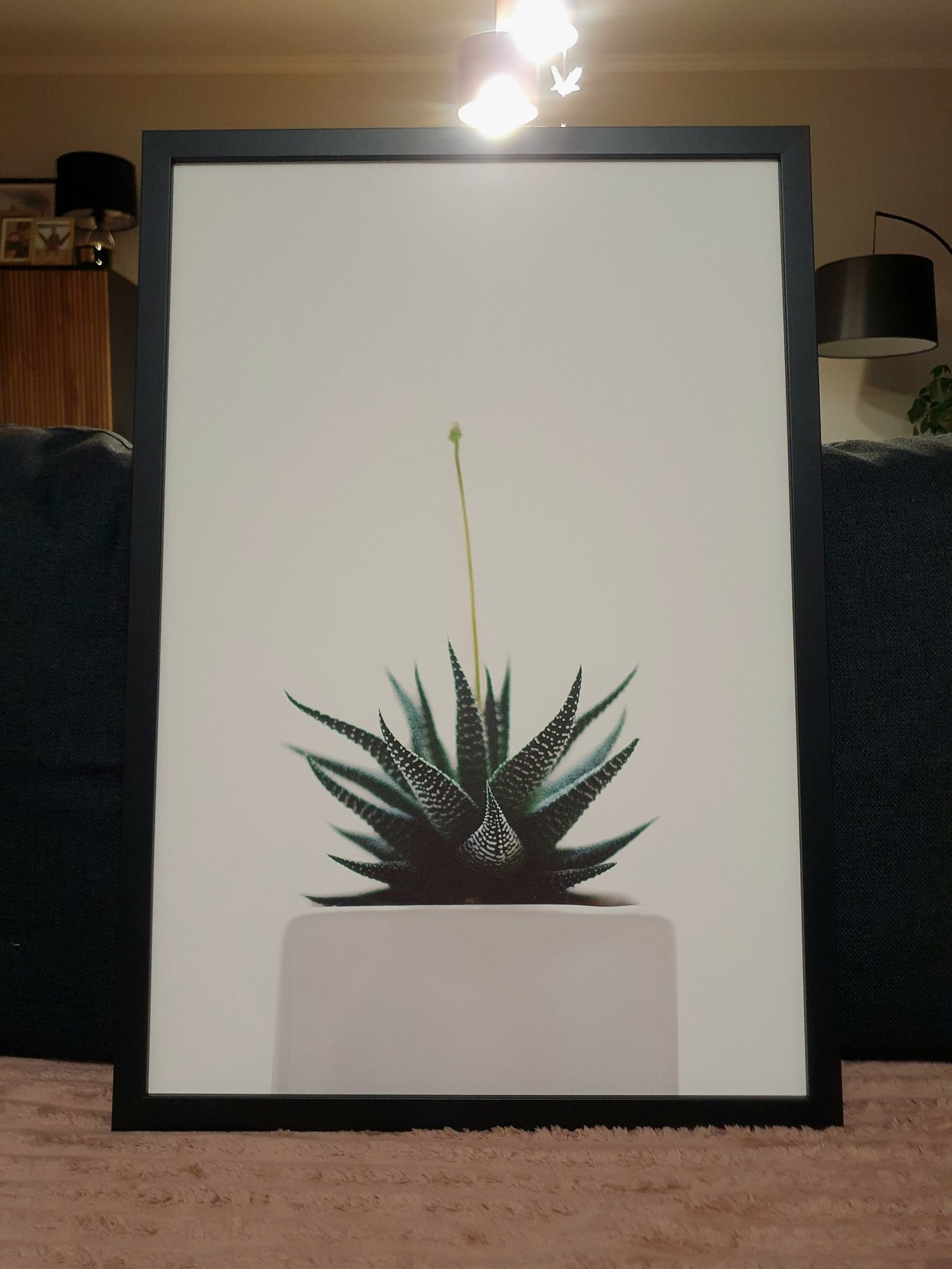 .:Zestaw Obrazów o tematyce Liście Monstera:.