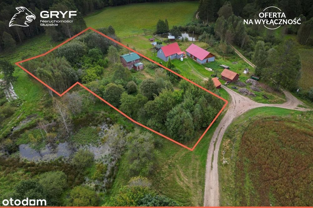 dom na dużej działce 53 ary|blisko jeziora i lasu