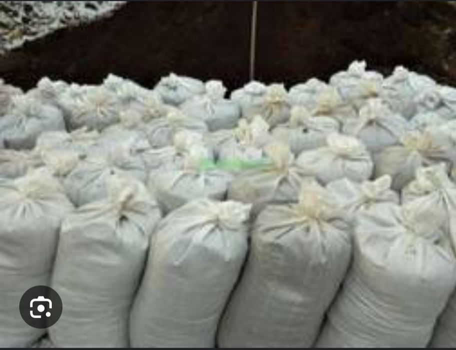 Перепелині яйця ( опт)