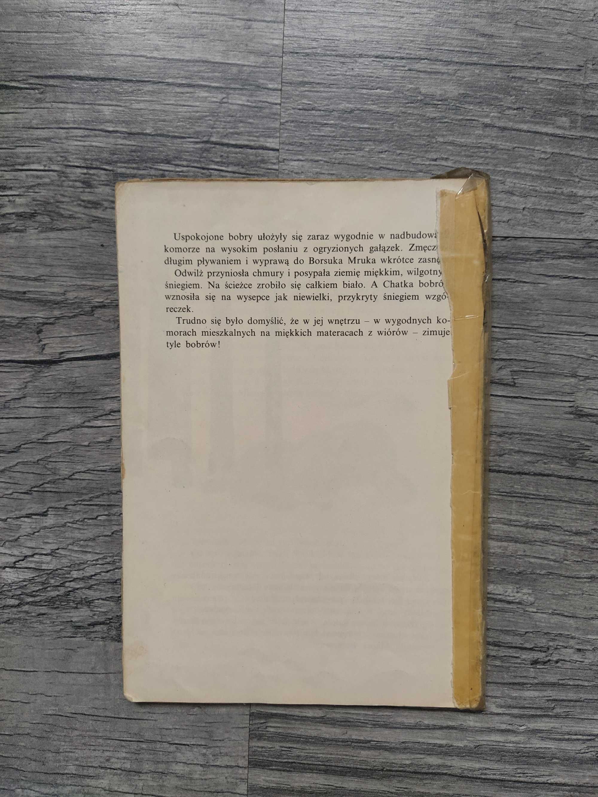 Poznajemy Sapcia i Pufcia Maria Kowalewska 1965 rok