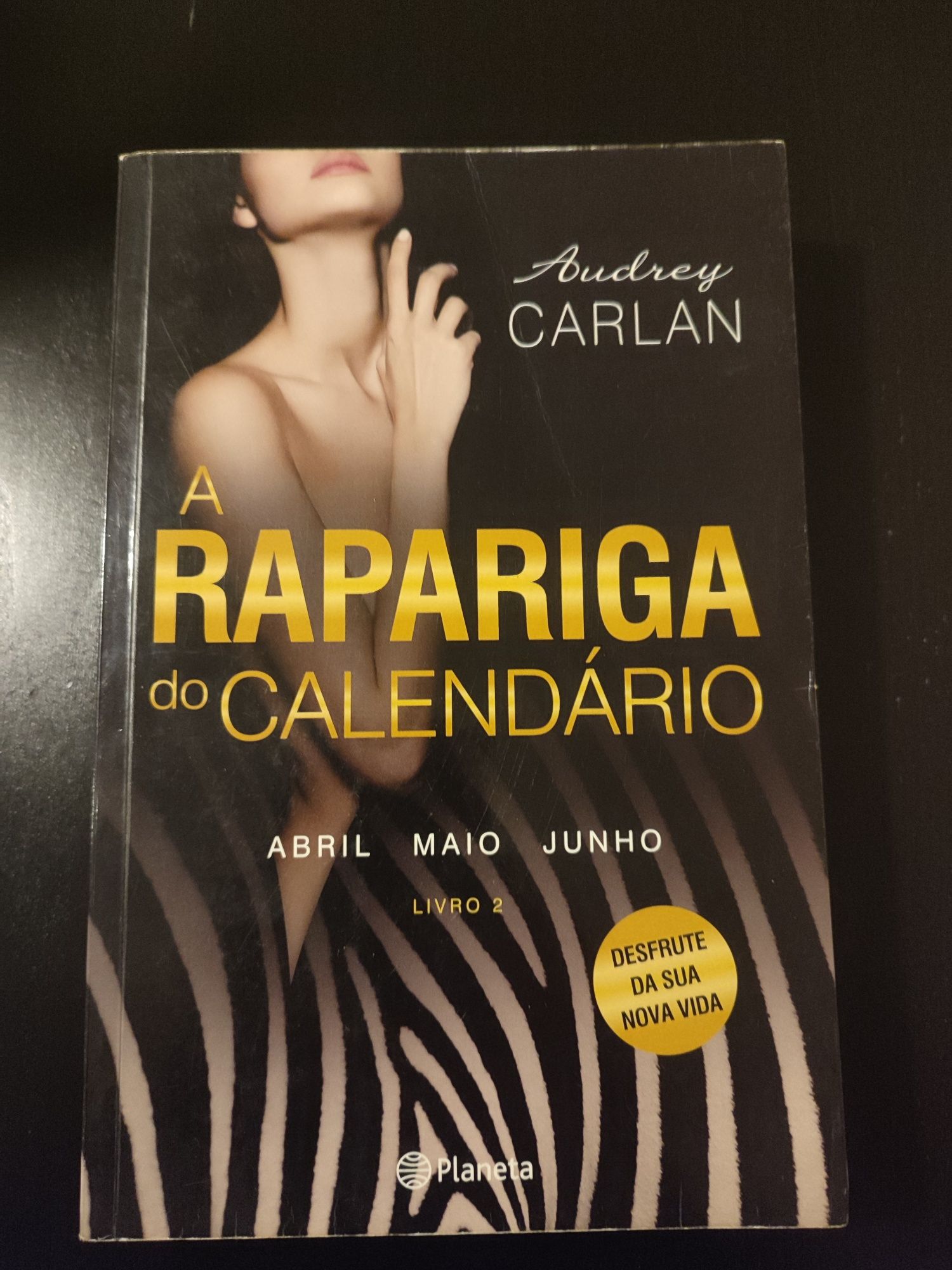 A Rapariga do calendário -livro 2