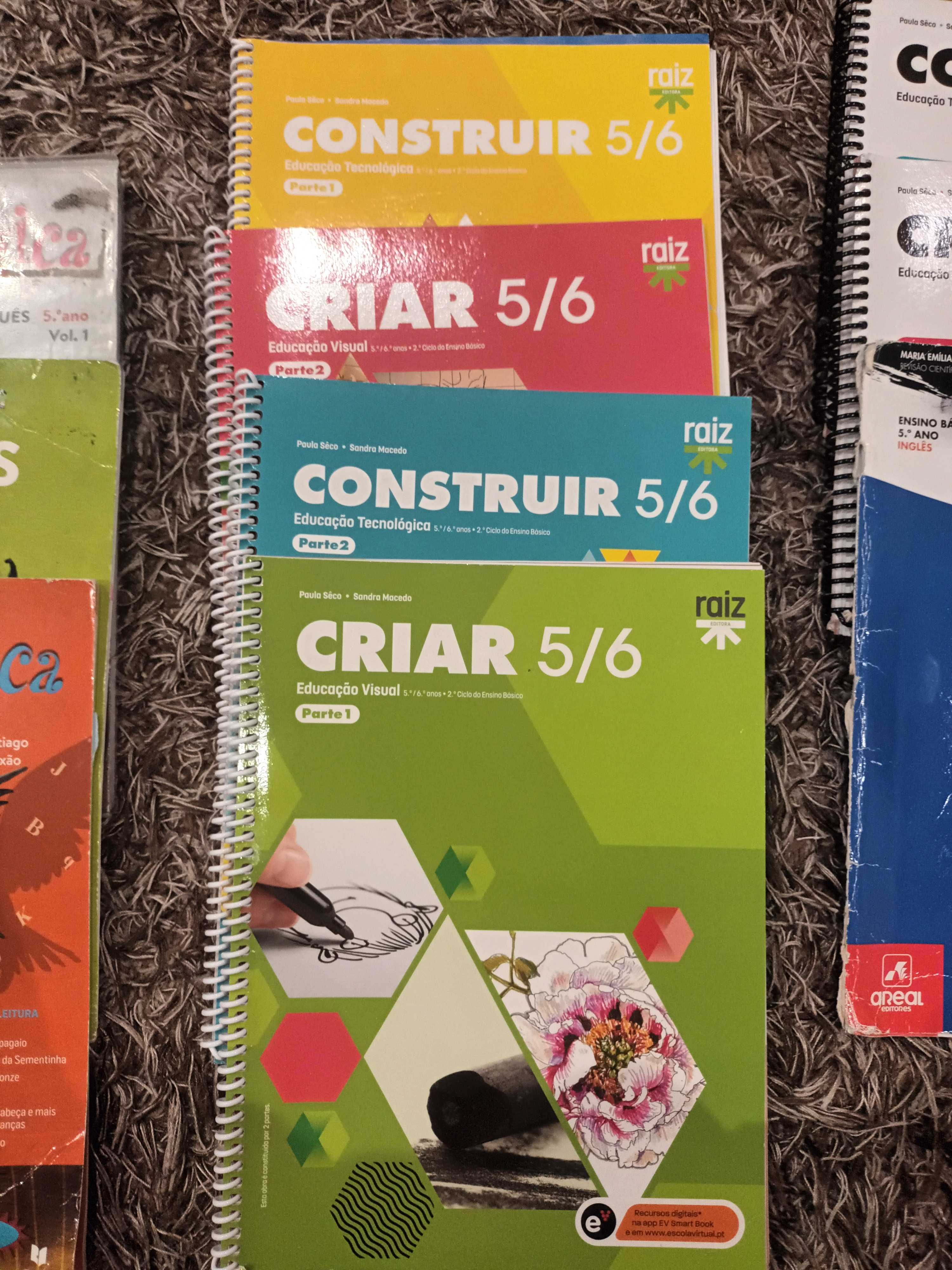 Vendo livros do 6 Ano