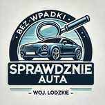 Bez wpadki - Sprawdzenie auta woj. łódźkie