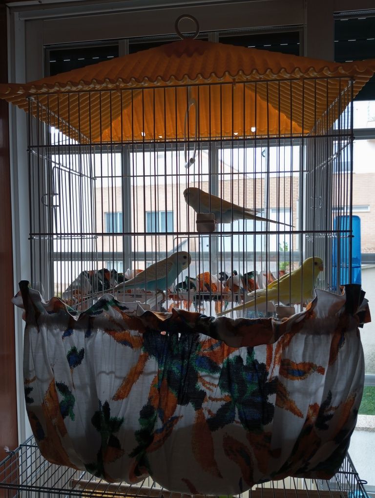 Vendo conjunto de gaiola com 3 periquitos